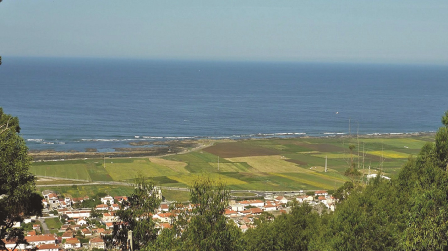 Plano de intervenção em 900 hectares de Viana do Castelo em vigor na quinta-feira