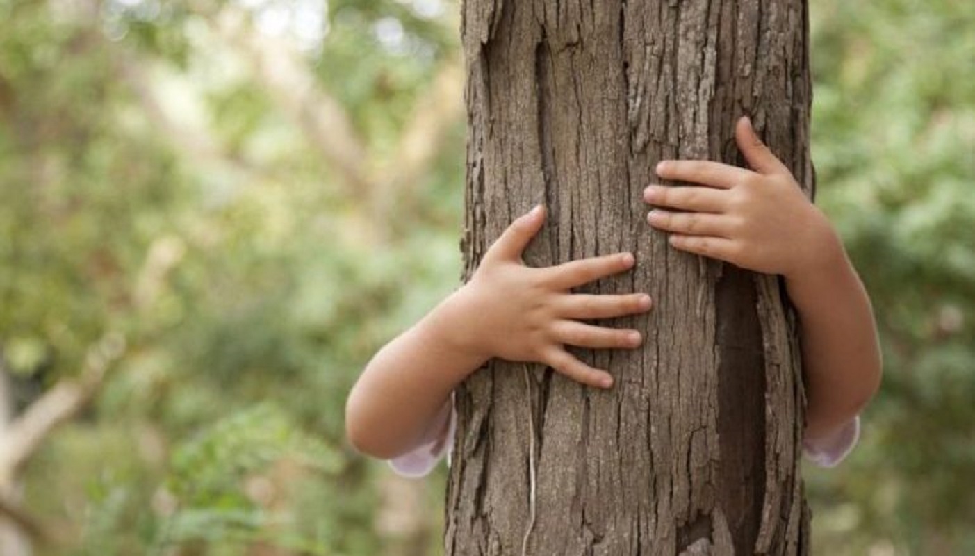 Paredes de Coura: Distribuídas árvores autóctones a mil alunos do concelho