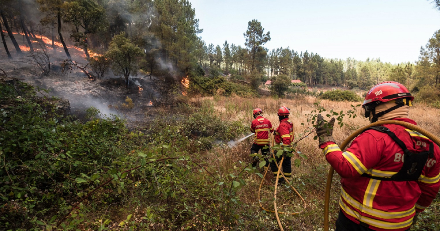 Proteção Civil alerta para perigo de incêndios rurais nos próximos dias
