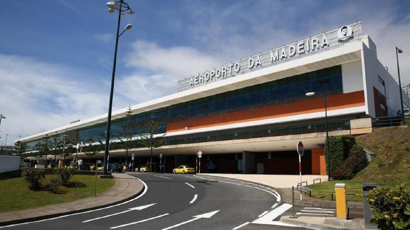 Covid-19: Madeira vai experimentar cães na deteção de pessoas infetadas no aeroporto
