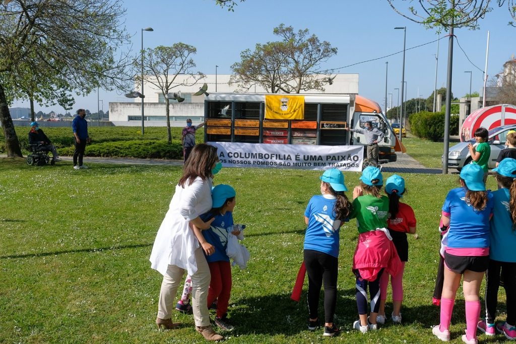 Dia Mundial da Atividade Física assinalado em Viana do Castelo