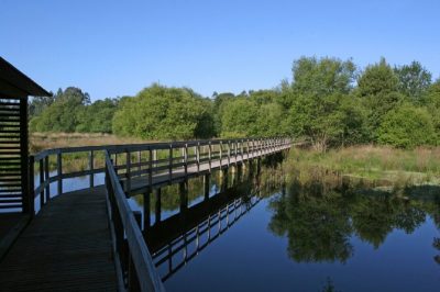 Lagoas de Ponte de Lima fazem 24 anos e contam 2,5 milhões de visitantes