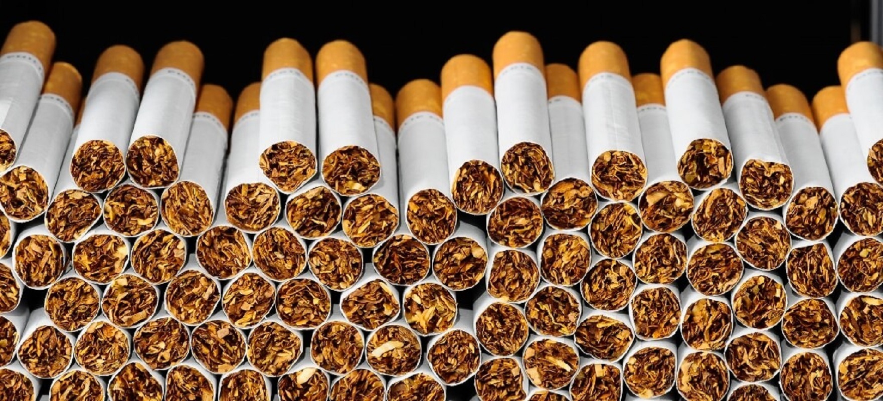 Desmantelada rede internacional dedicada ao comércio ilícito de produtos de tabaco