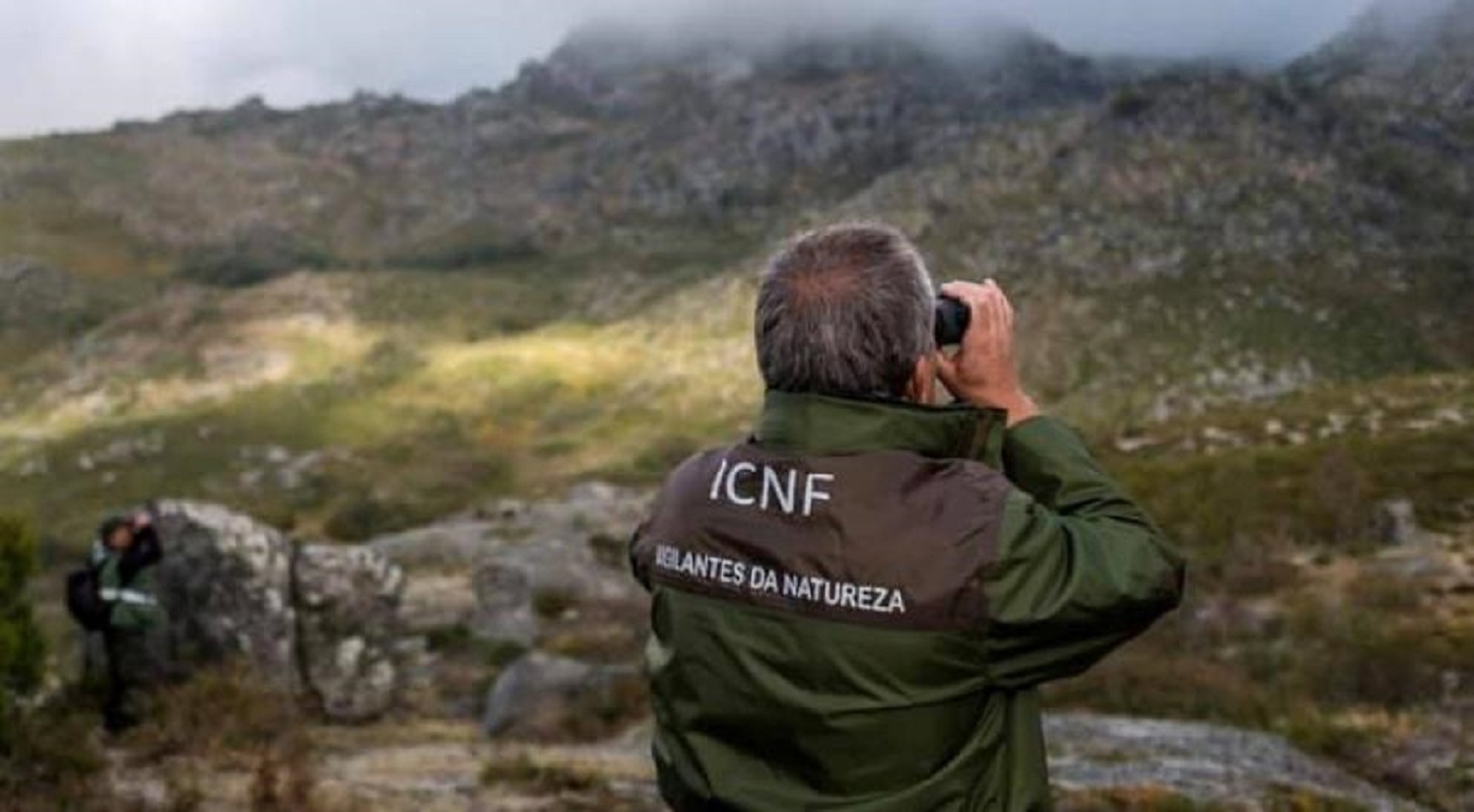 Vigilantes da natureza iniciam greve às horas extraordinárias a 1 de julho