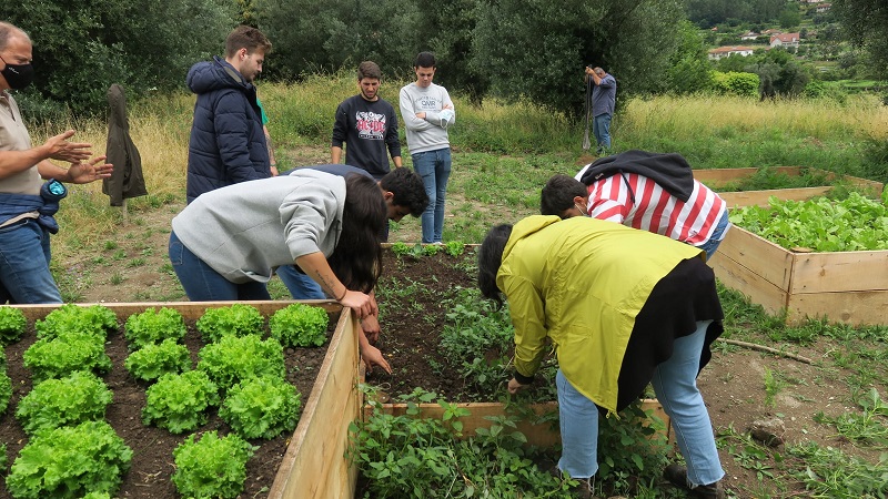 Escola Superior Agrária cria Horta Terapêutica