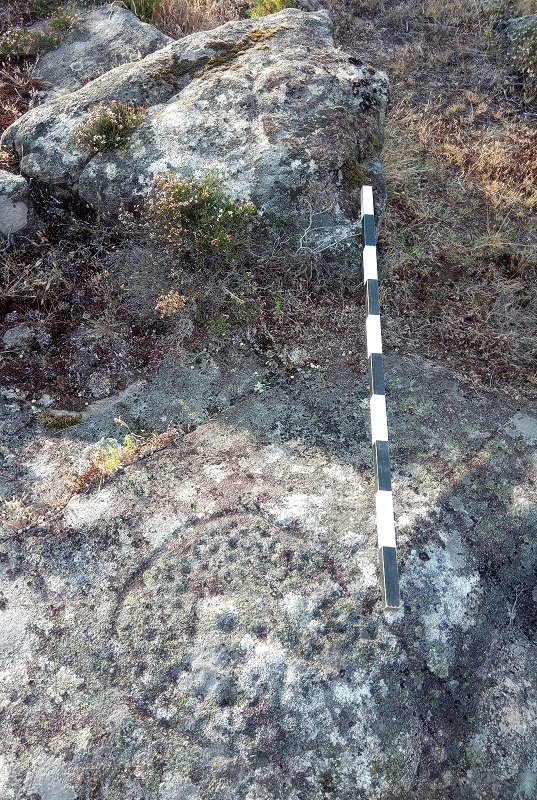Gravuras rupestres de ar livre descobertas em Paredes de Coura