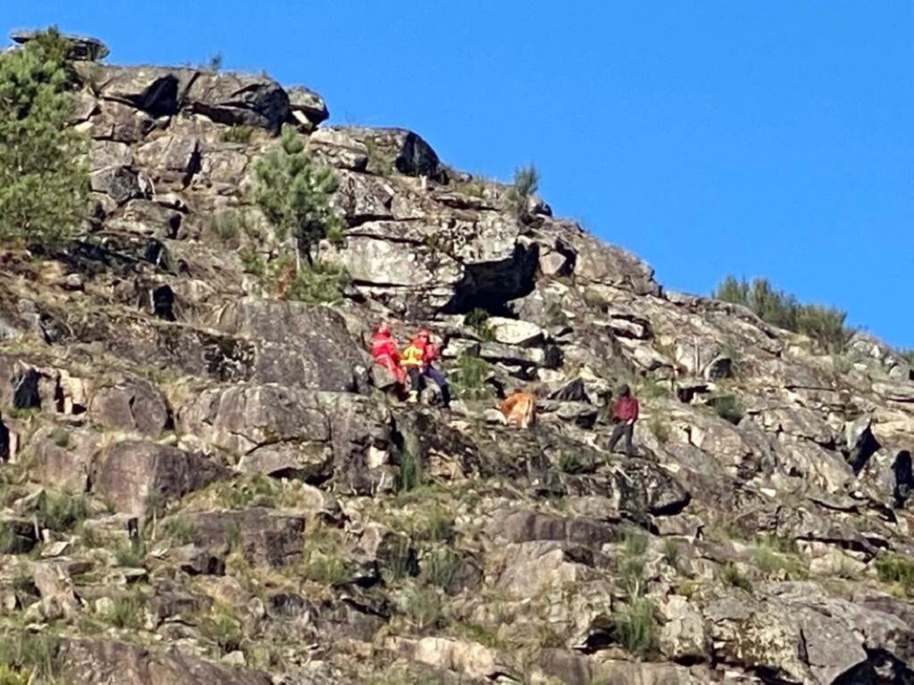 Bombeiros de Arcos de Valdevez salvam vaca prenha encontrada presa entre rochas