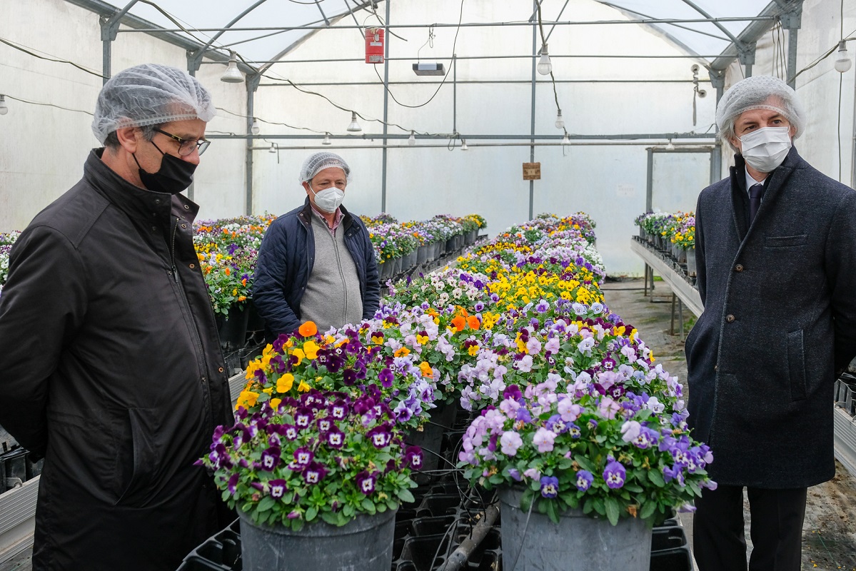 Viana do Castelo: Secretário de Estado da Agricultura reuniu com executivo municipal e visitou Aromáticas Vivas
