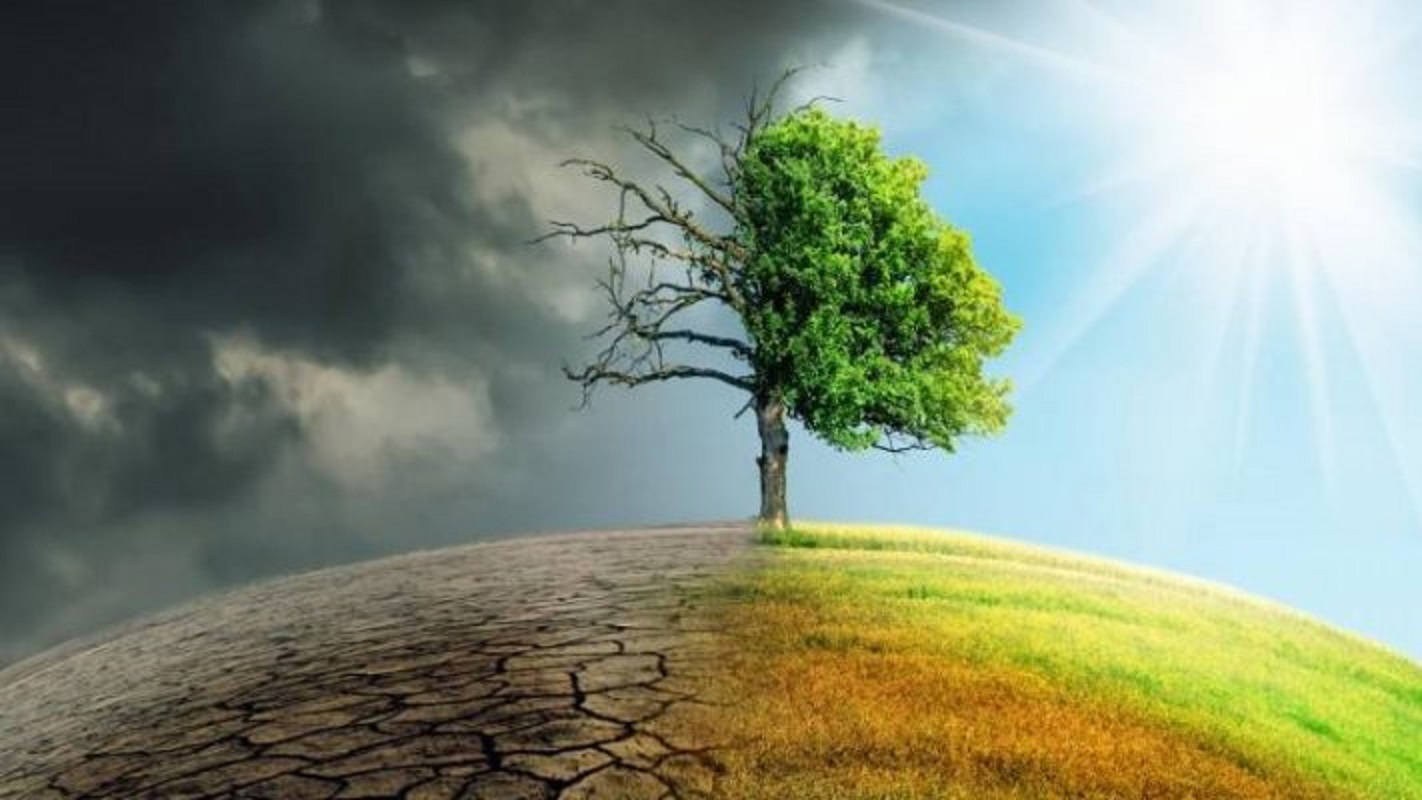 Portugal entre os países europeus mais afetados por eventos climáticos extremos