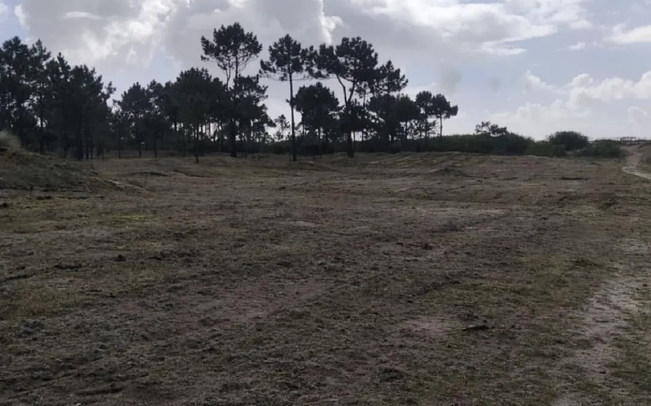 APA sabia de limpeza de terrenos em zona dunar do Cabedelo e nega danos
