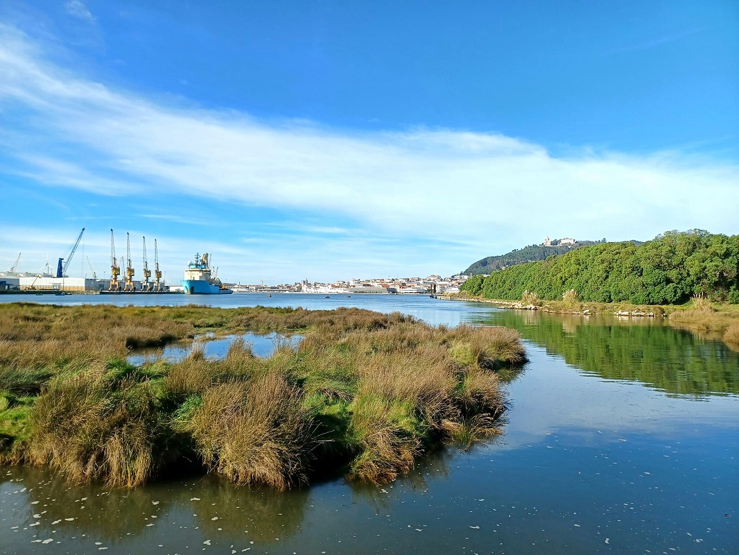 Navio russo fundeado ao largo de Viana do Castelo