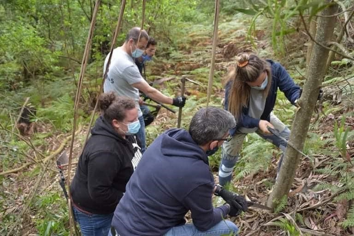 Viana do Castelo assinala Dia Mundial da Floresta e Dia Mundial da Água
