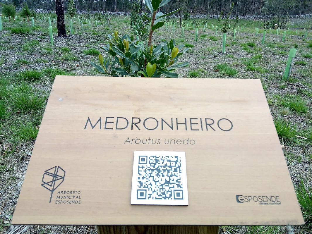 Arboreto de Esposende com QR Code para cada espécie