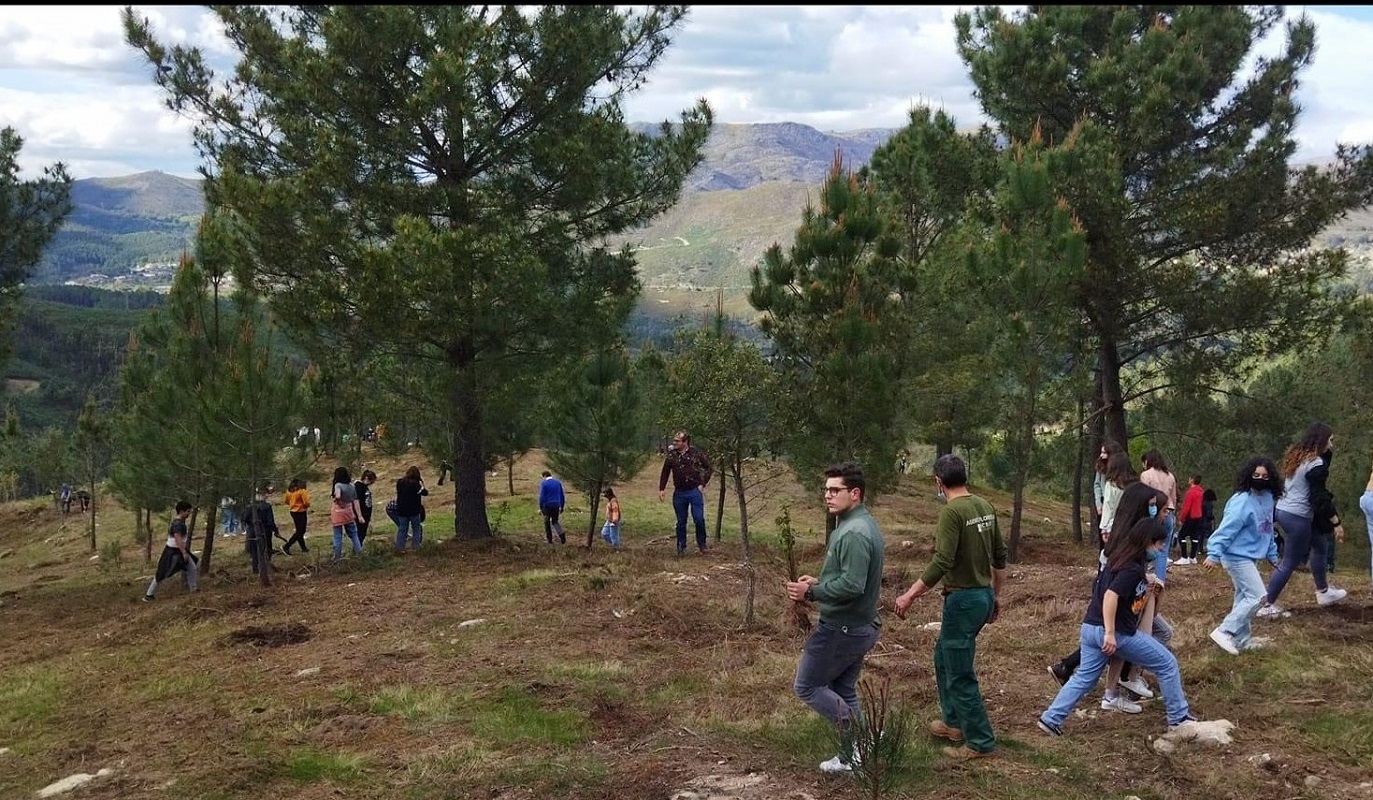 Alunos de Ponte da Barca plantaram 500 árvores no Parque Nacional da Peneda Gerês