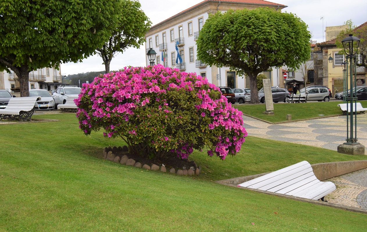 Embelezamento de espaços públicos torna a vila de Monção “ainda mais cativante e convidativa”