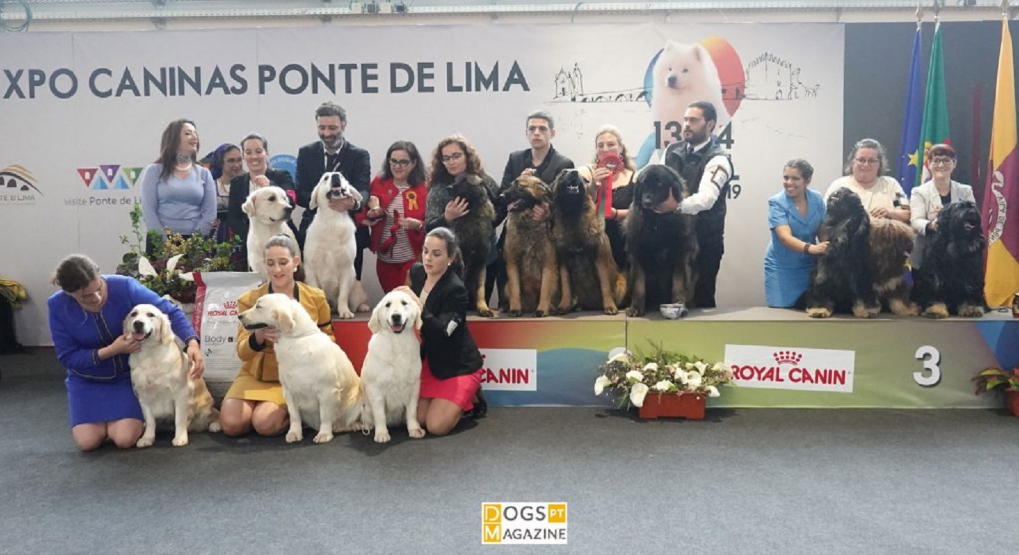 Ponte de Lima acolhe III Expo Caninas