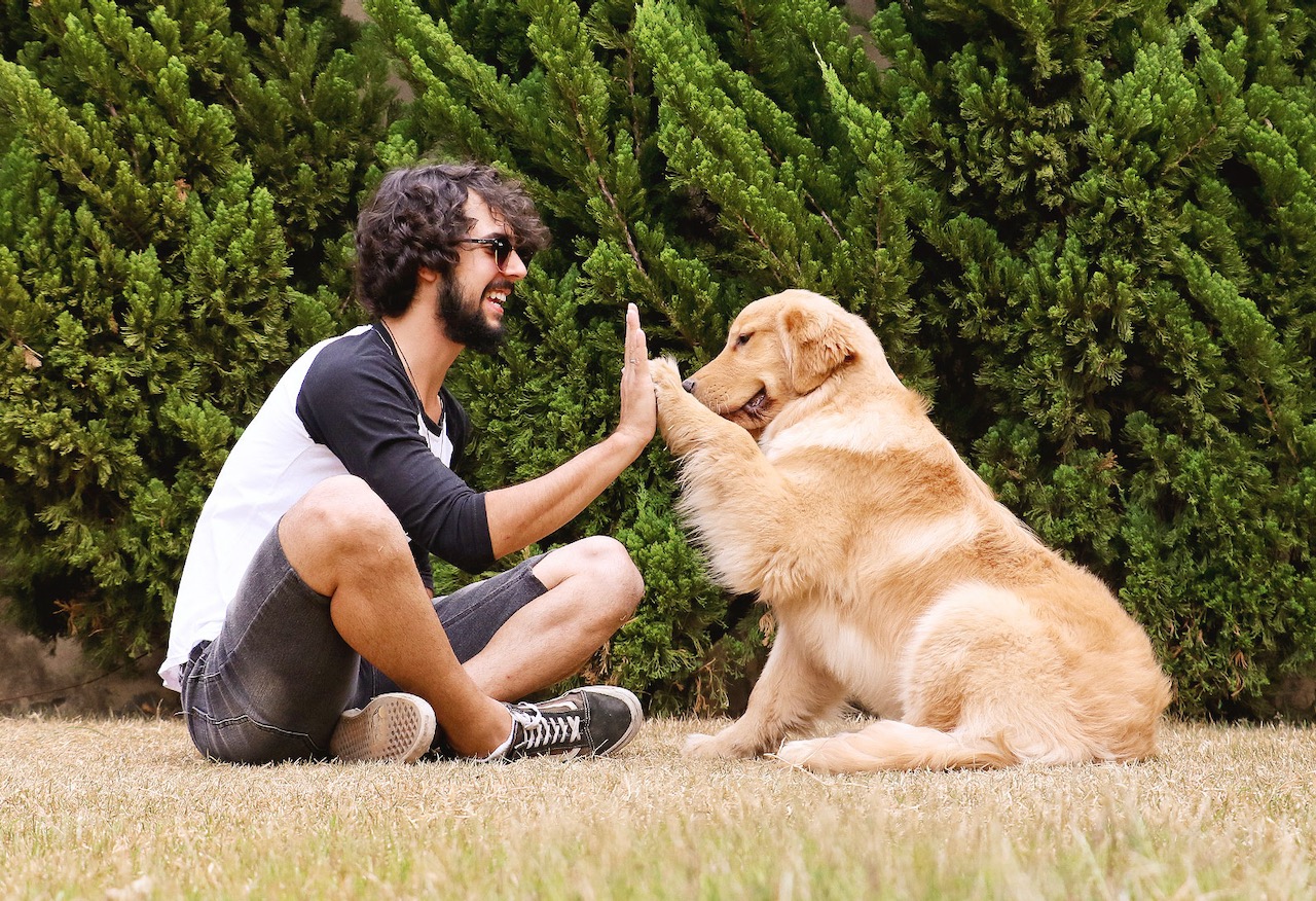 “Outros Mundos” trazem a Viana ciclo de estudos “animais e os homens”