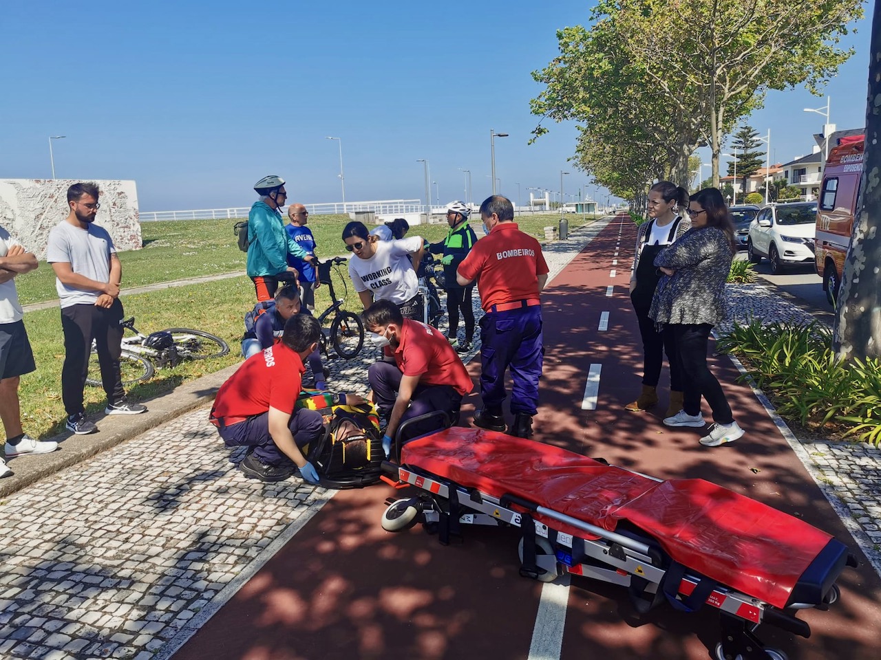 Peregrina sul africana atropelada em Esposende por ciclista