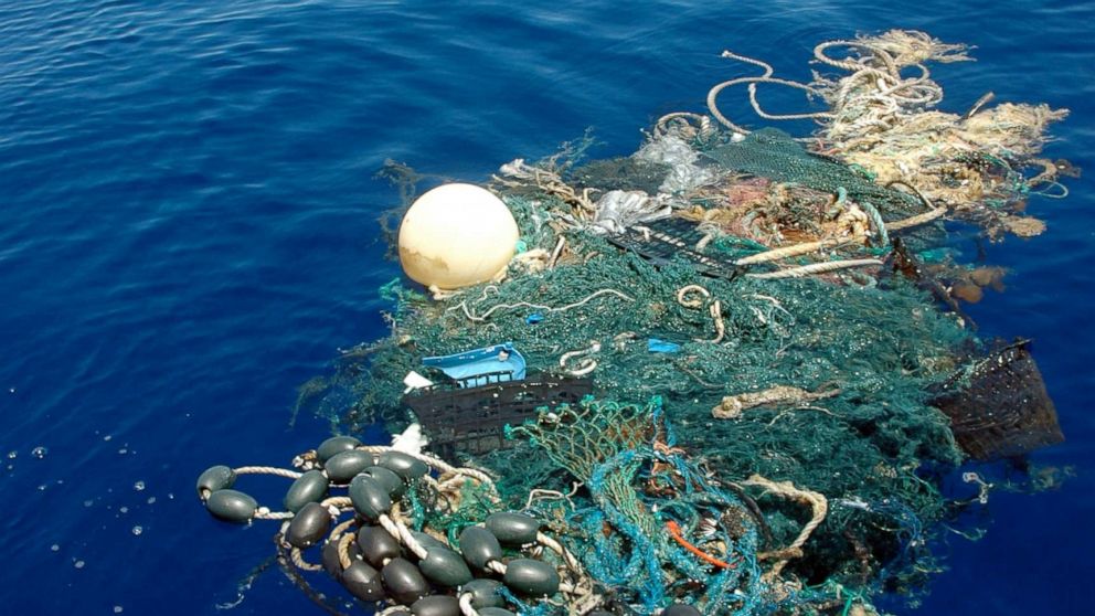 Oceanos: Objetivo “proteger a vida marinha” continua por cumprir
