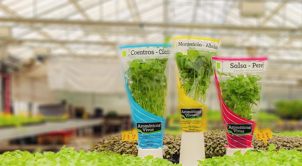 VIANA: Empresa de Carreço vence concurso nacional de Ervas Aromáticas