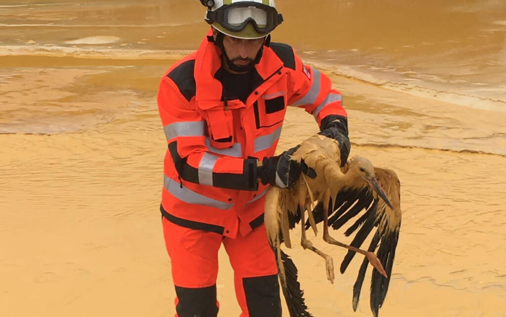 VALENÇA: Bombeiros resgatam cegonha-branca presa em zona de areias movediças