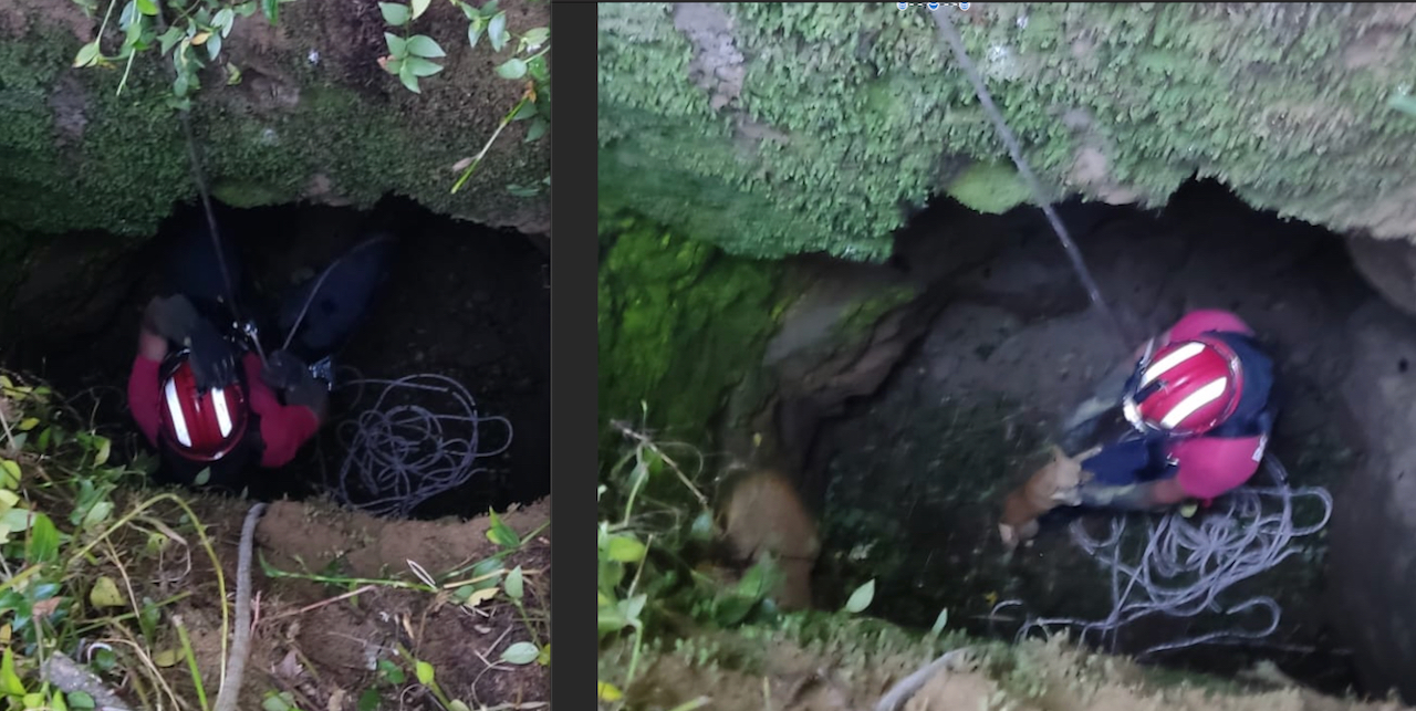 PONTE DE LIMA: Cachorro cai em poço de 10 metros e é salvo pelos bombeiros