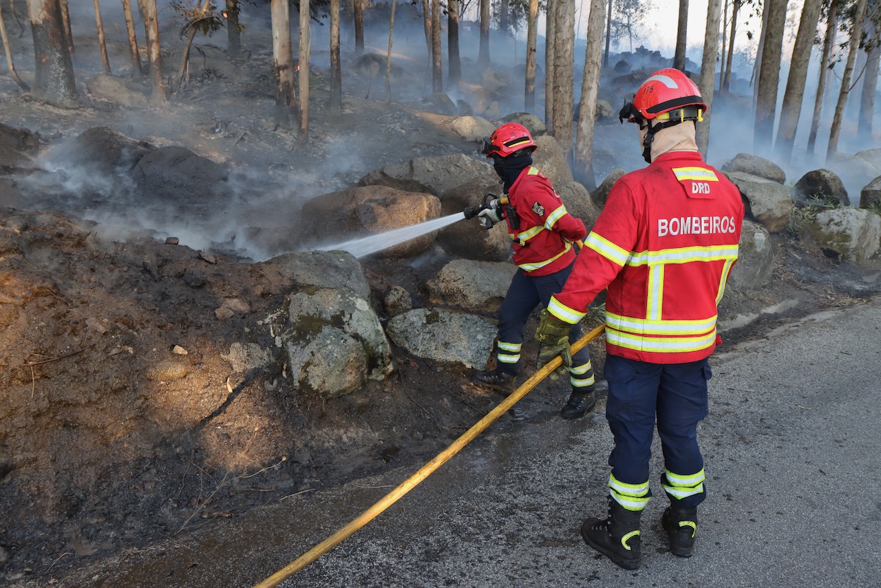 Ambientalistas da Zero e PINUS reclamam medidas e lamentam falta de ações contra os incêndios