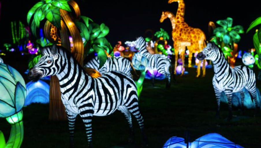 Zoo Santo Inácio abre portas no Halloween: Luzes Selvagens e Casa dos Animais Noturnos