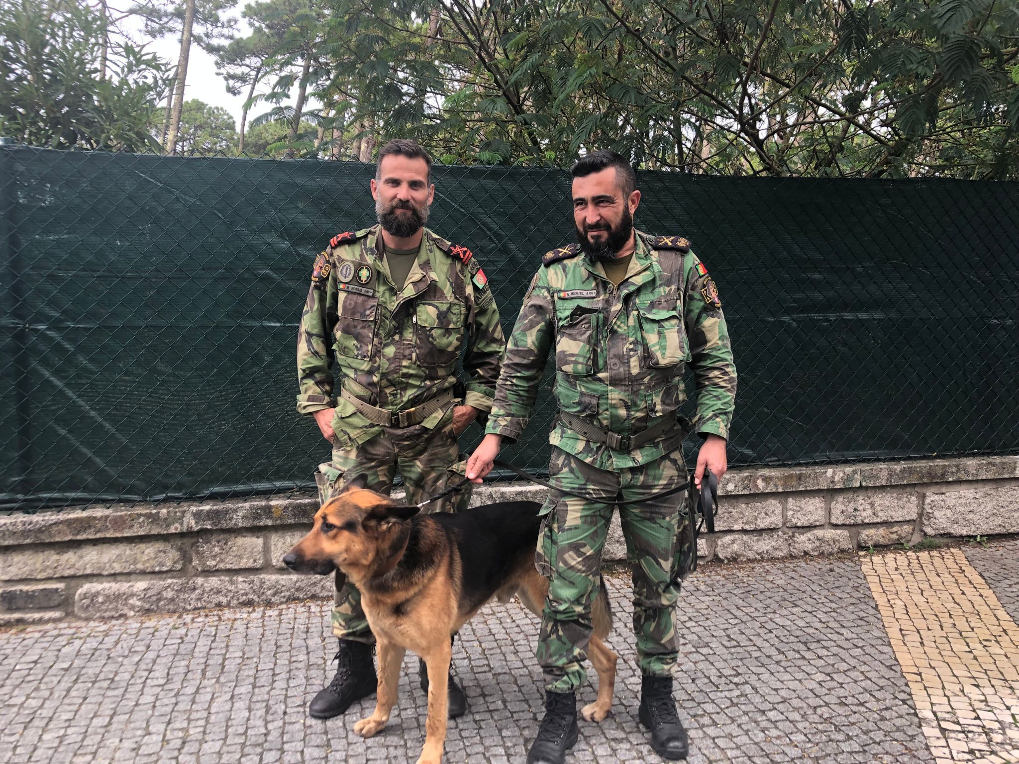 Cão resgatado em Viana vai ser ´fuzileiro` por ordem do almirante Gouveia e Melo