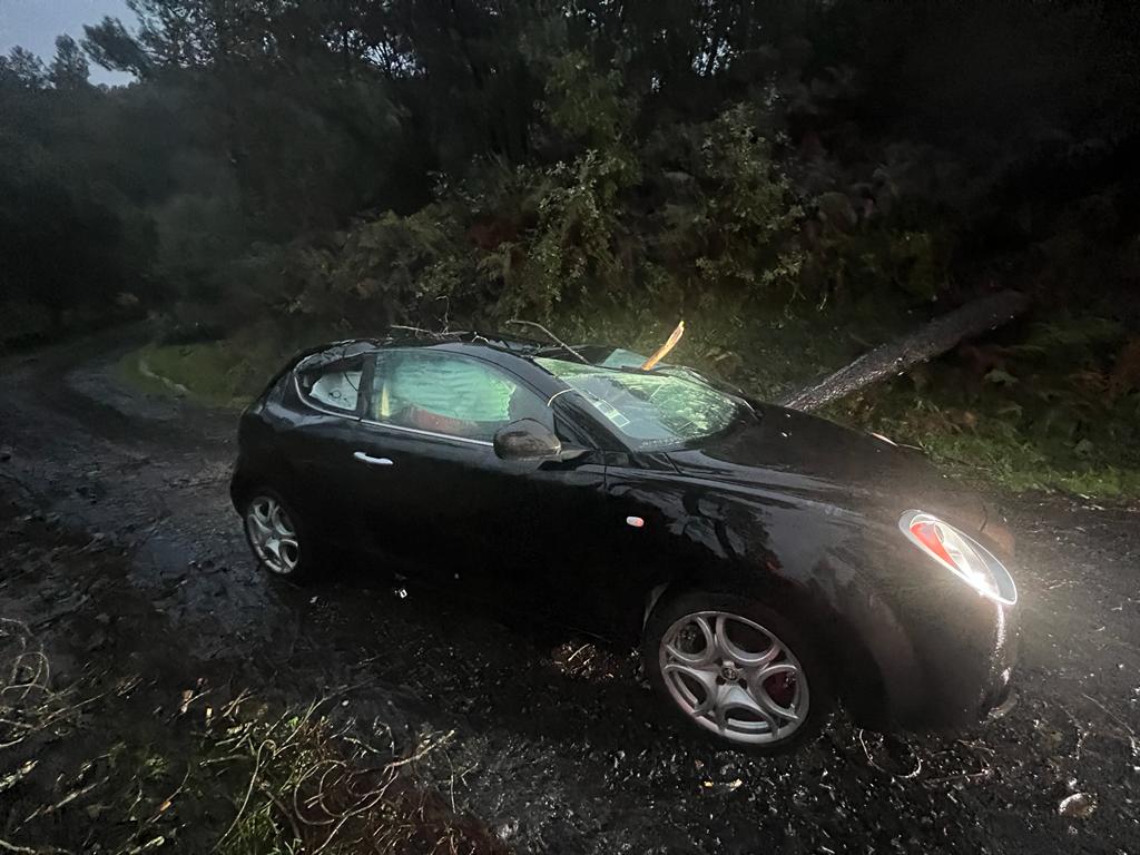 ARCOS DE VALDEVEZ: Queda de árvore atinge um carro e faz um ferido em Cabreiro