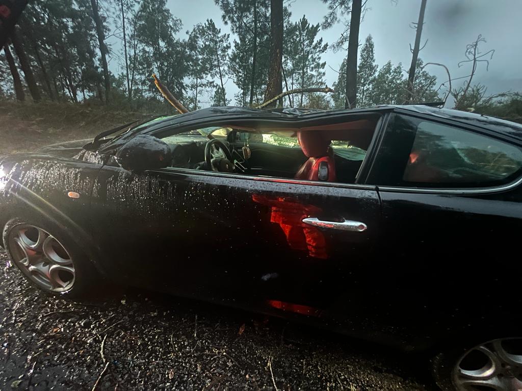 ARCOS DE VALDEVEZ: Queda de árvore atinge um carro e faz um ferido em Cabreiro