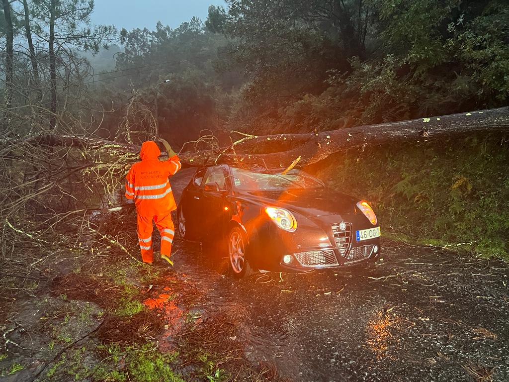 ARCOS DE VALDEVEZ: Queda de árvore atinge um carro e faz um ferido em Cabreiro