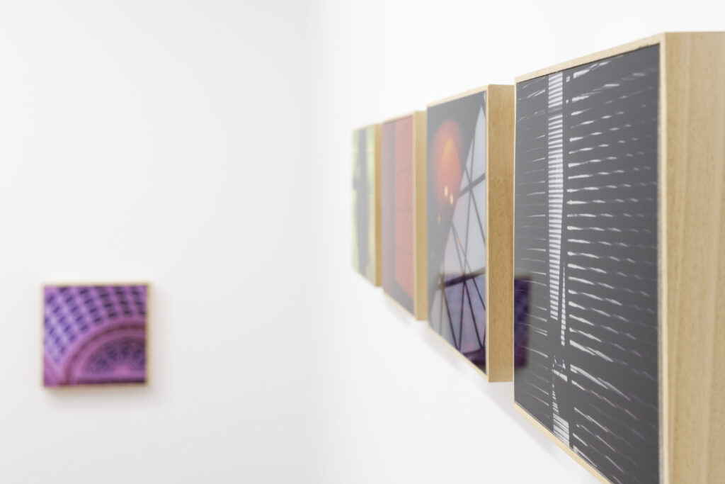 Artista argentina expõe em Viana obra inspirada no Alto Minho
