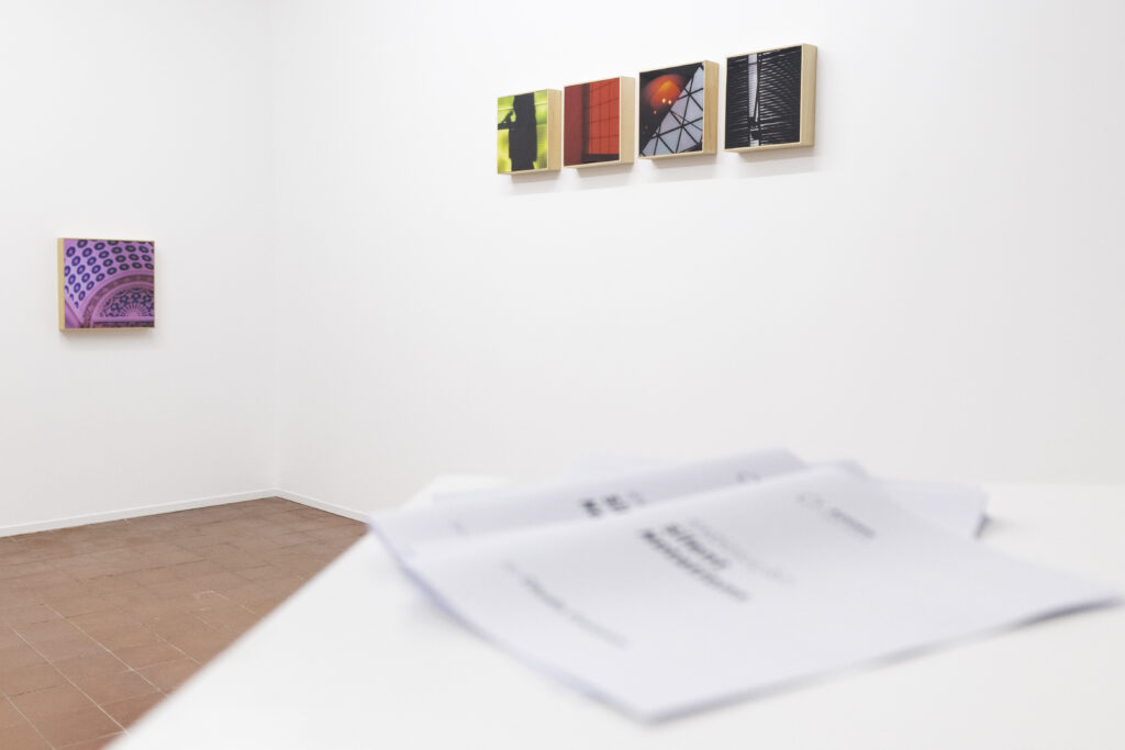 Artista argentina expõe em Viana obra inspirada no Alto Minho