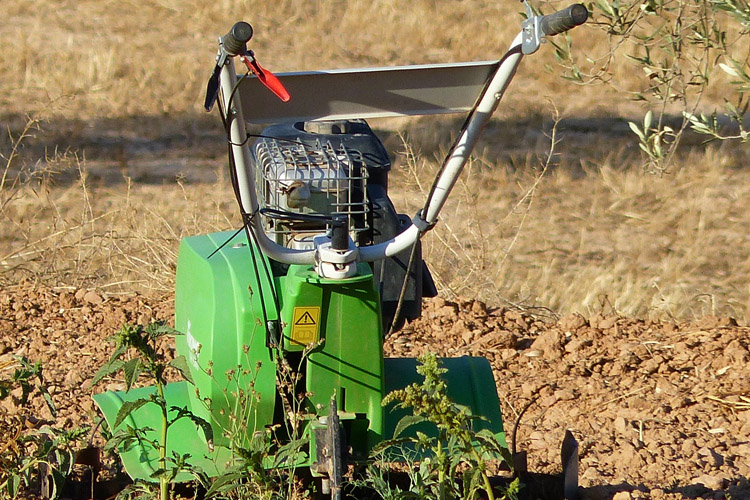 Agricultores podem aceder ao PEPAC a partir do dia 01 de janeiro