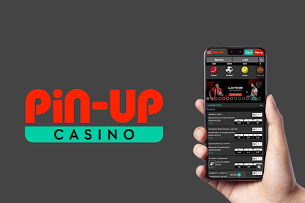 Como ganhar $ 551 / dia usando pin up casino 