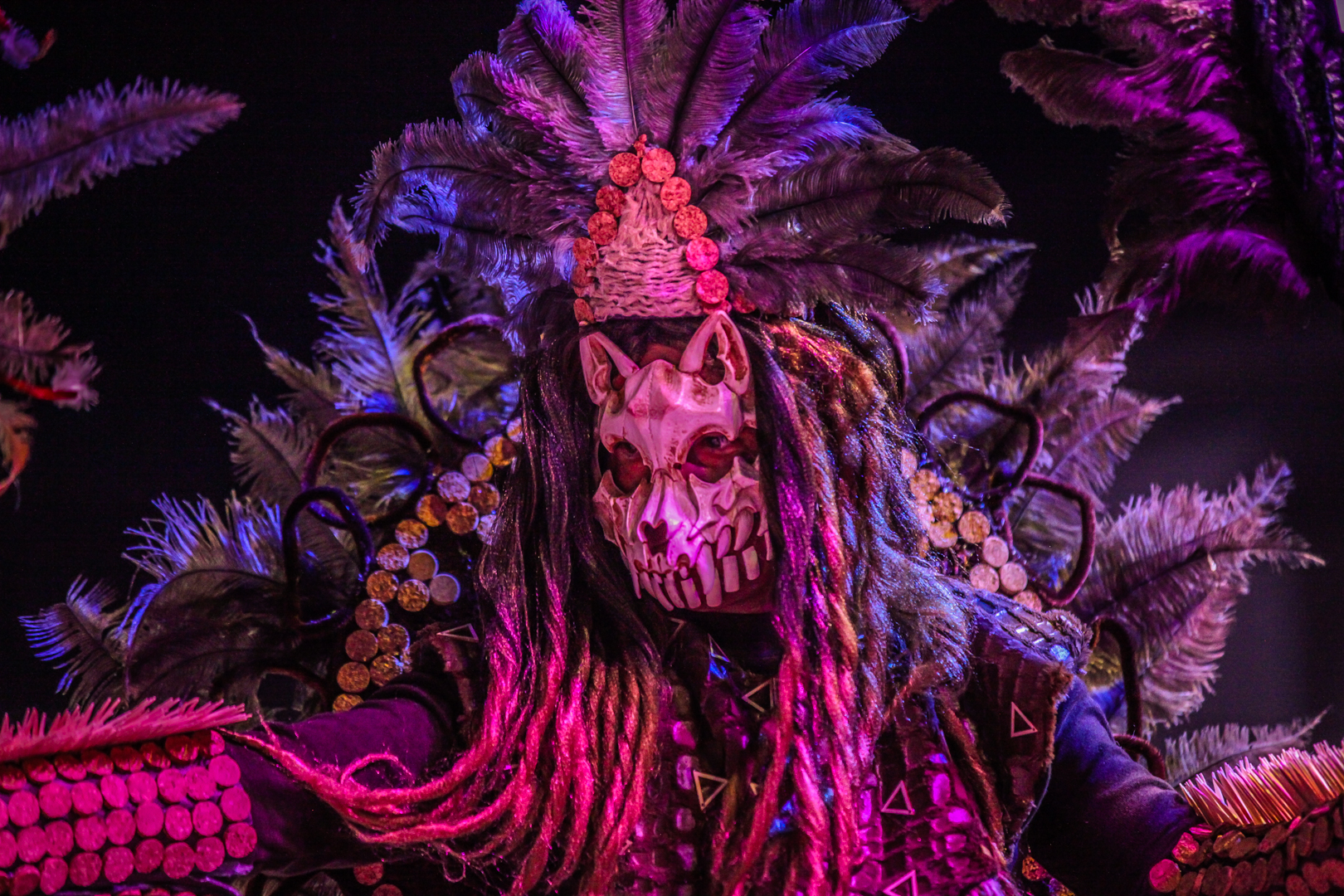 CORTEJO DE CARNAVAL NOTURNO EM CAMINHA  JUNTOU MAIS DE MIL FOLIÕES A DESFILAR