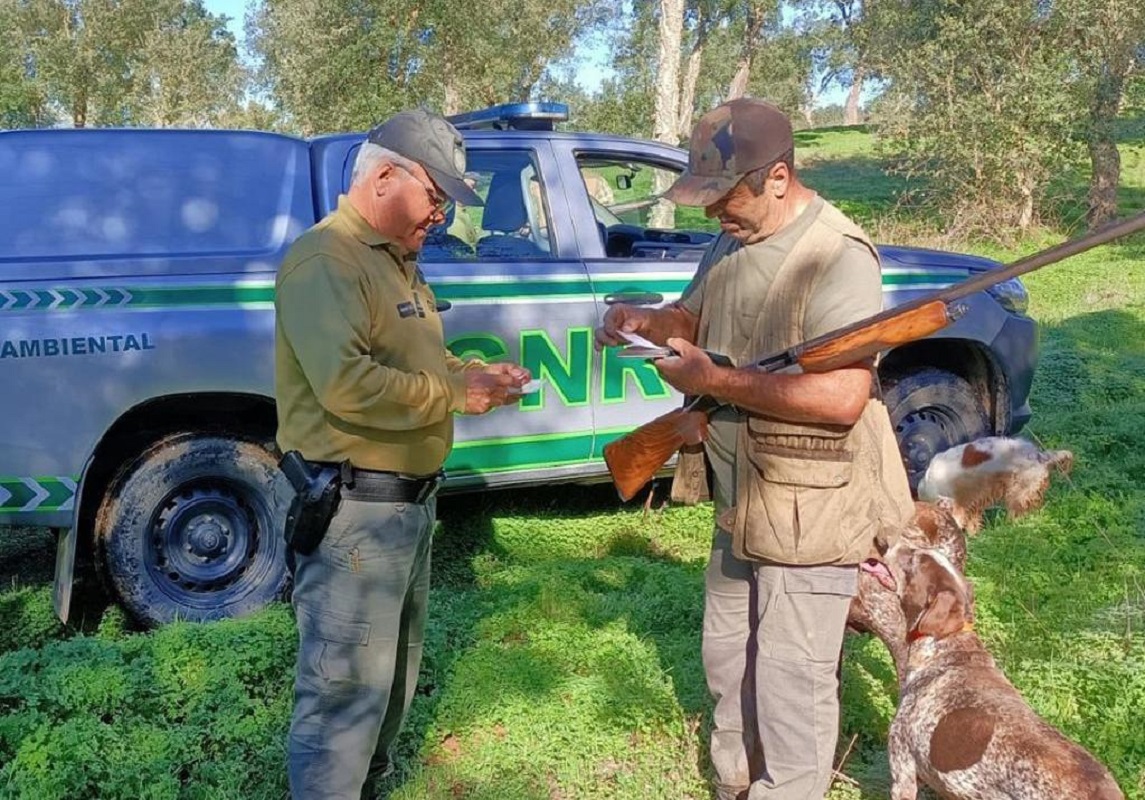 Gnr Deteve Pessoas E Detetou Crimes Relacionados Com A Ca A R Dio Alto Minho