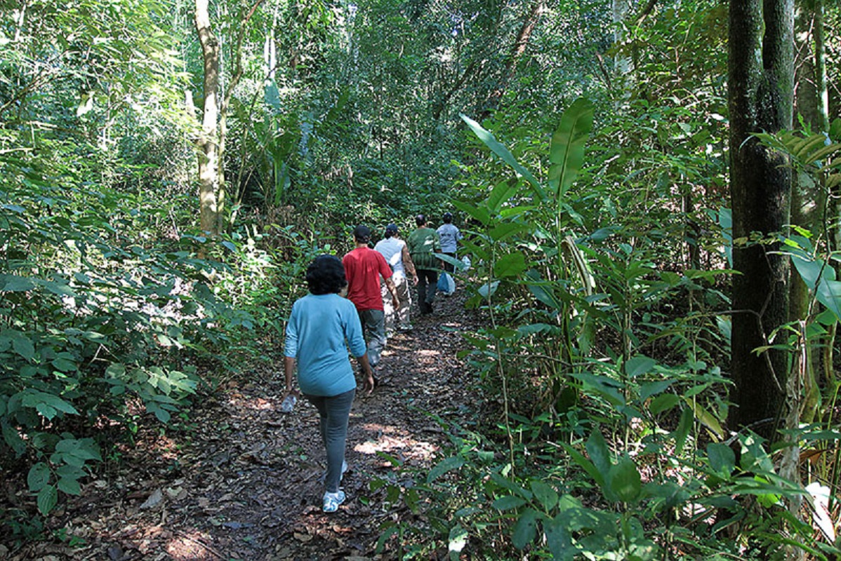 GNR de Viana do Castelo convida população para “Caminhada pela Floresta”