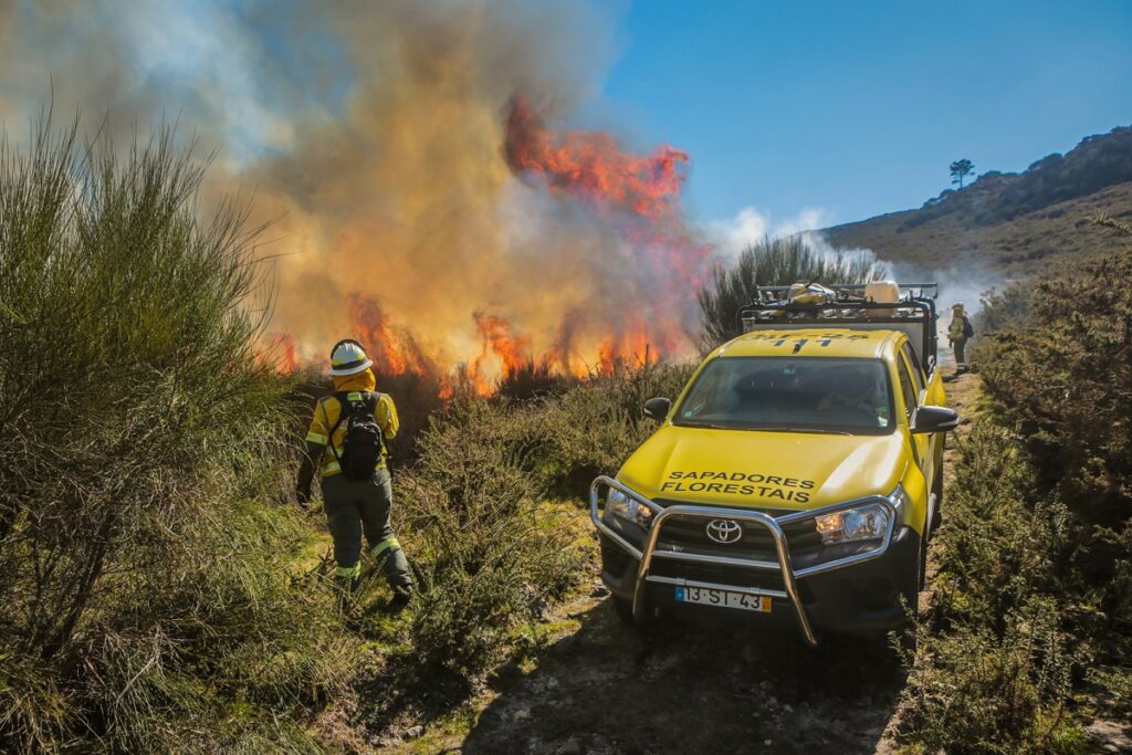 Caminha promoveu ação de fogo controlado