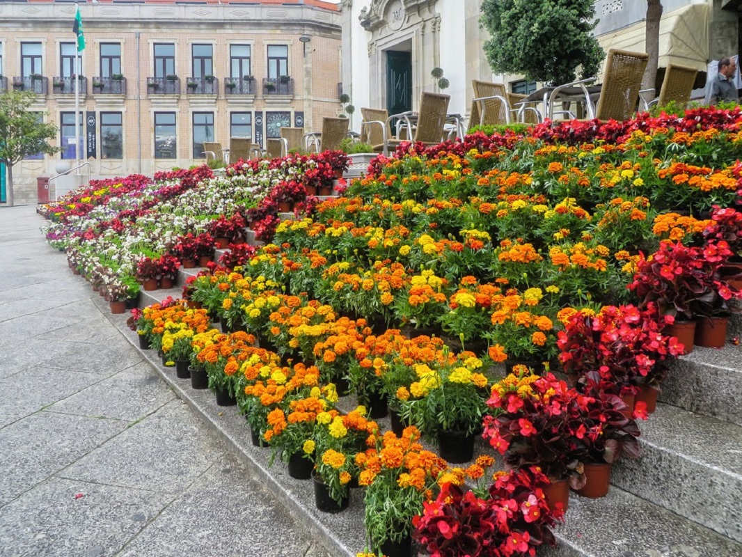 Vila Praia em Flor anima Vila Praia de Âncora a partir de sexta-feira