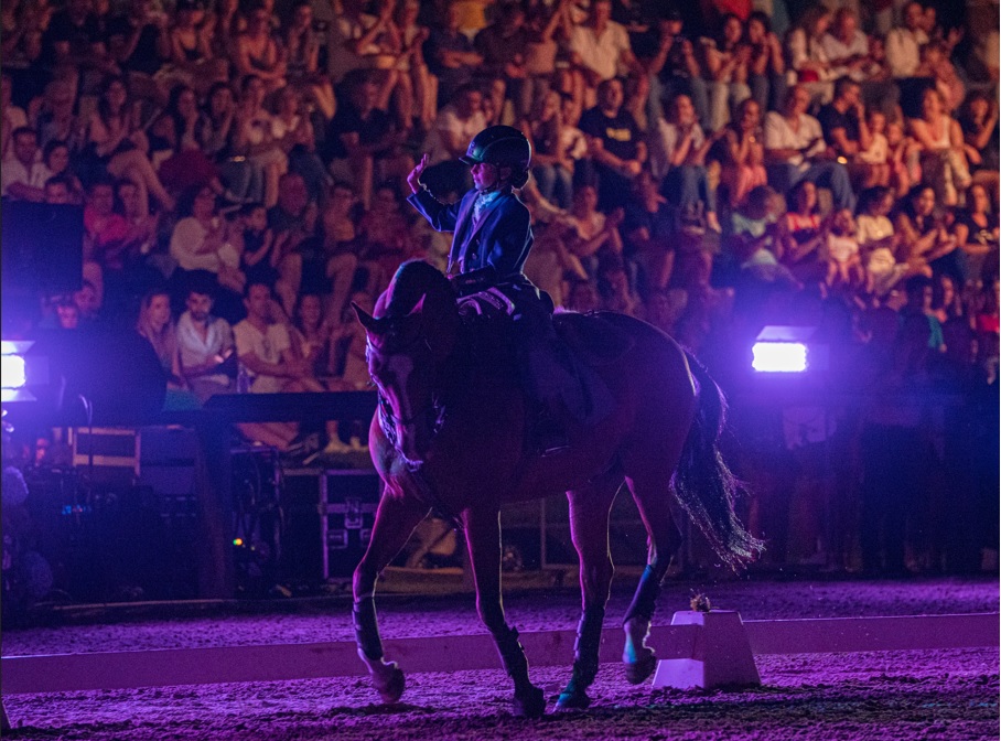 Está a chegar a XV Feira do Cavalo de Ponte de Lima