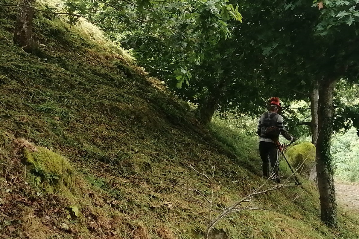 Cerveira tem em curso limpeza florestal em 46 hectares de várias freguesias