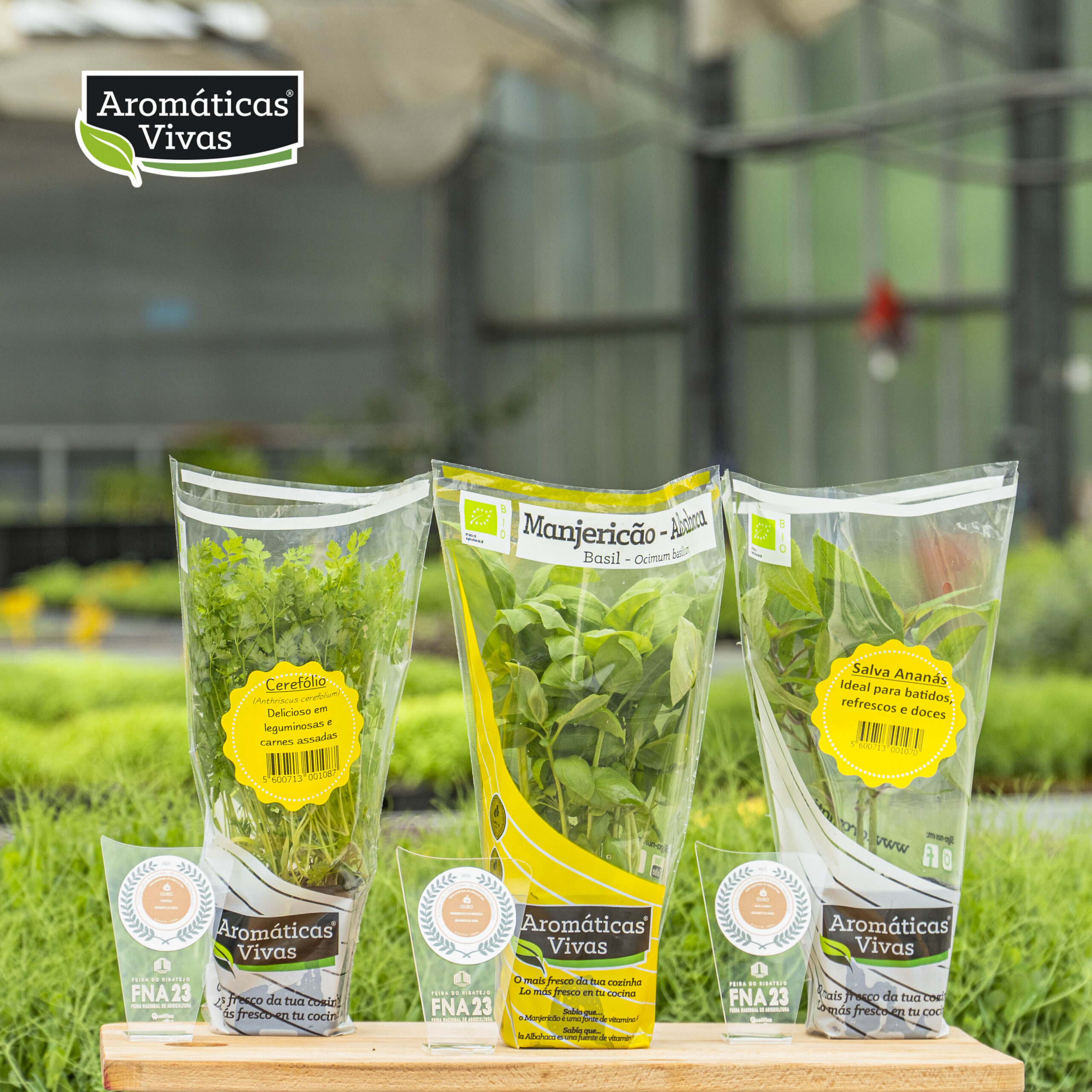 Aromáticas Vivas conquista 3 Medalhas de Ouro no X Concurso de Ervas Aromáticas