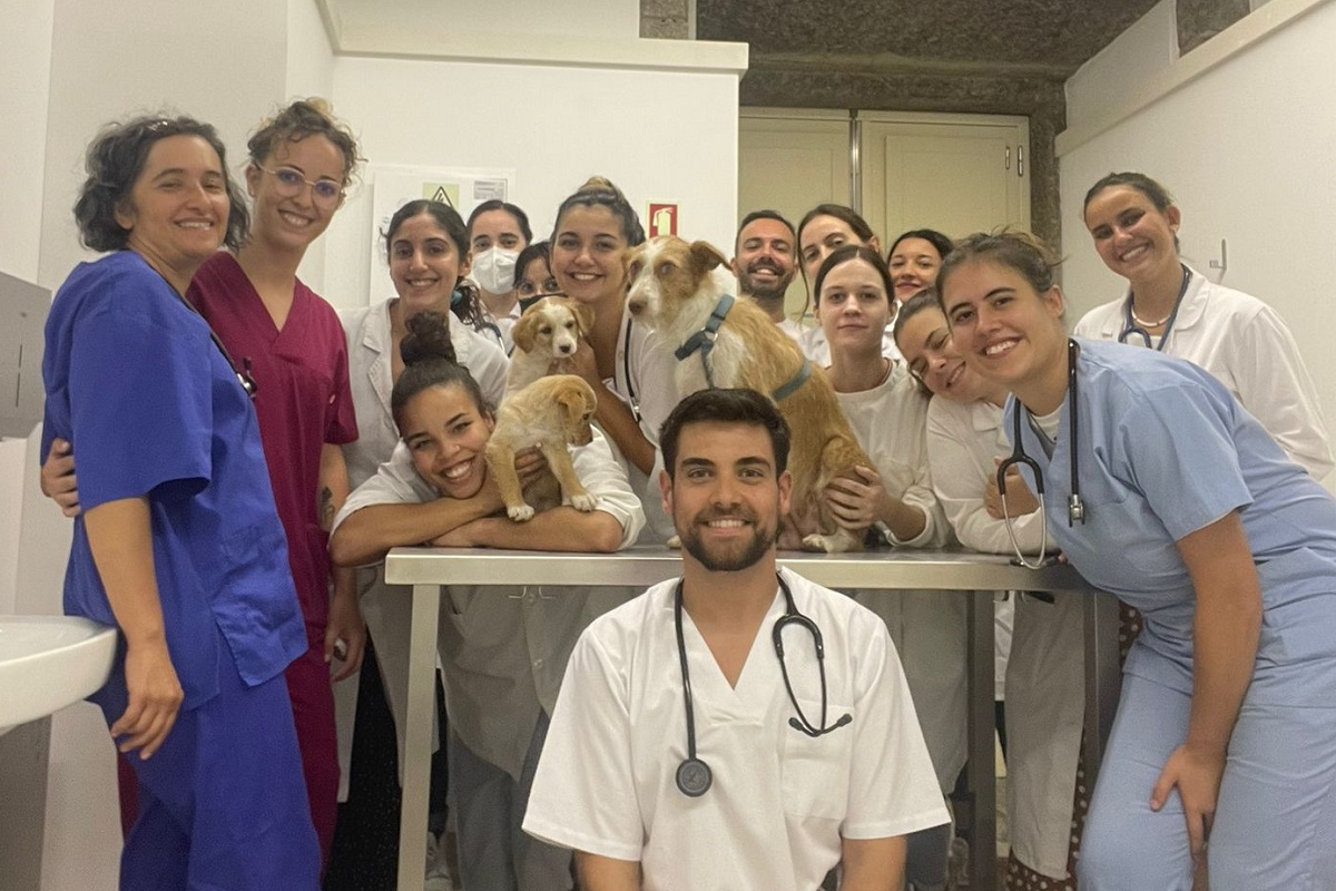 IPVC inaugura Centro de Bem-Estar Animal