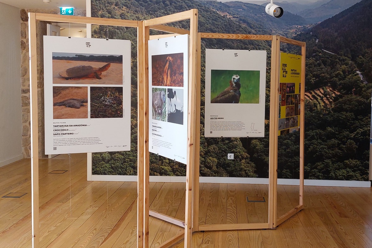 Já ouviu falar na exposição “Bichos de cá… Bichos de lá”? Pode visitar até ao fim do mês