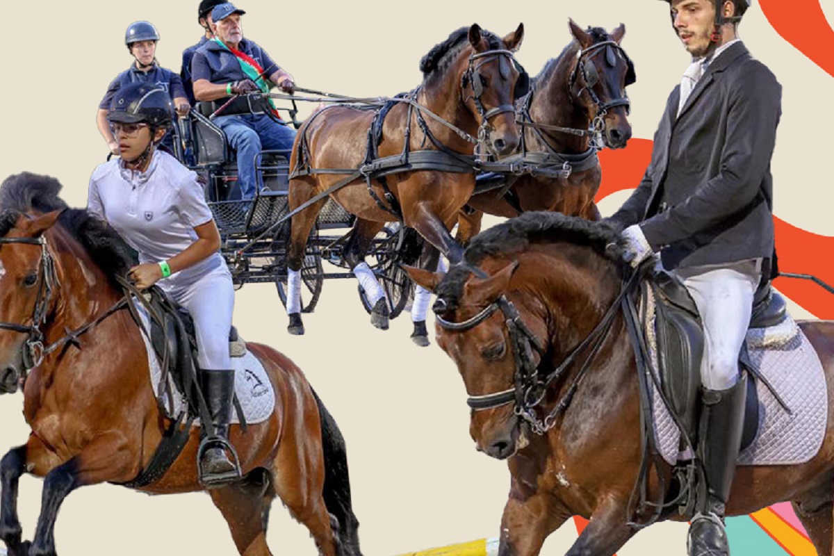 O melhor dos Jogos Equestres está de volta a Ponte de Lima