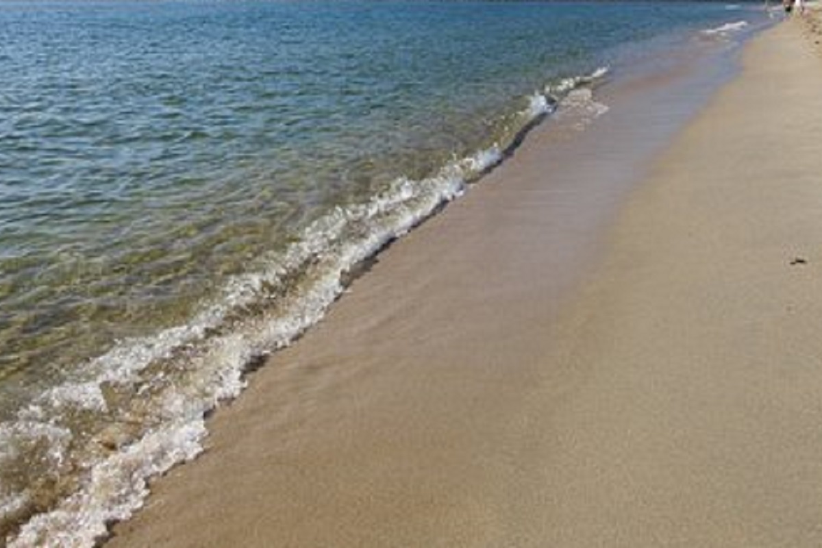 Bactéria Escherichia coli “fecha” duas praias em Viana do Castelo