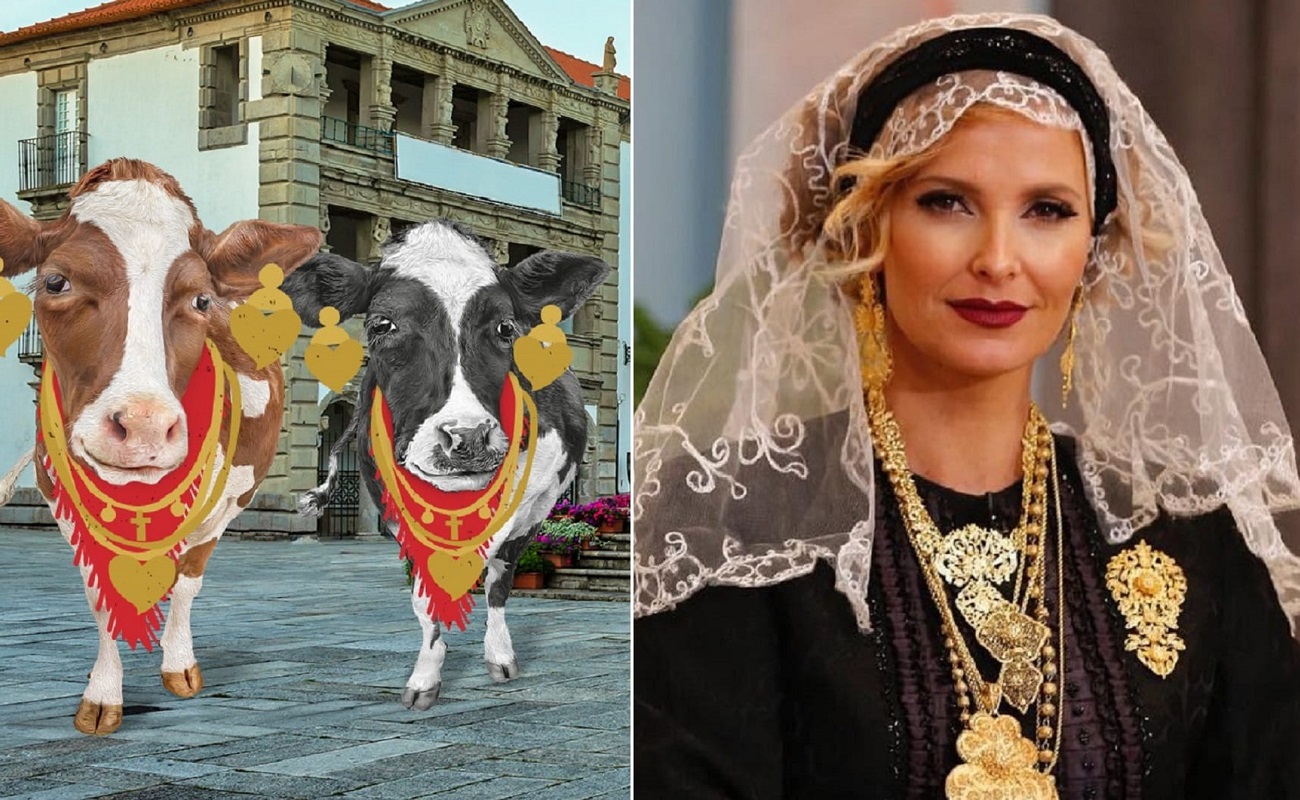 “As vacas estão mal trajadas e isso não é a primeira vez que acontece”
