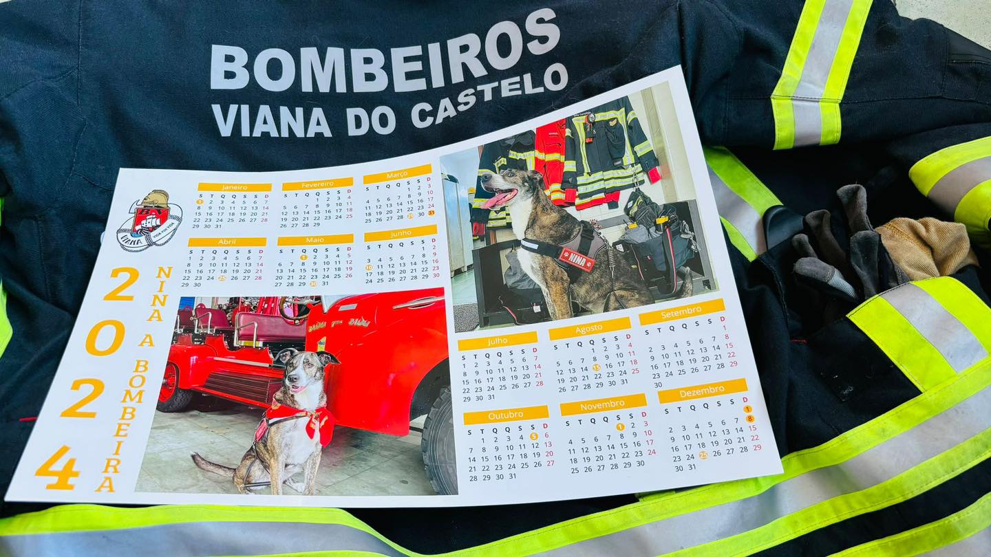 Nina já tem calendários à venda para ajudar bombeiros de Viana